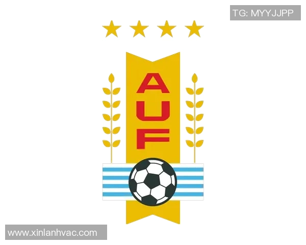 乌拉圭足球的辉煌历程与未来展望：从世界冠军到新星崛起的故事